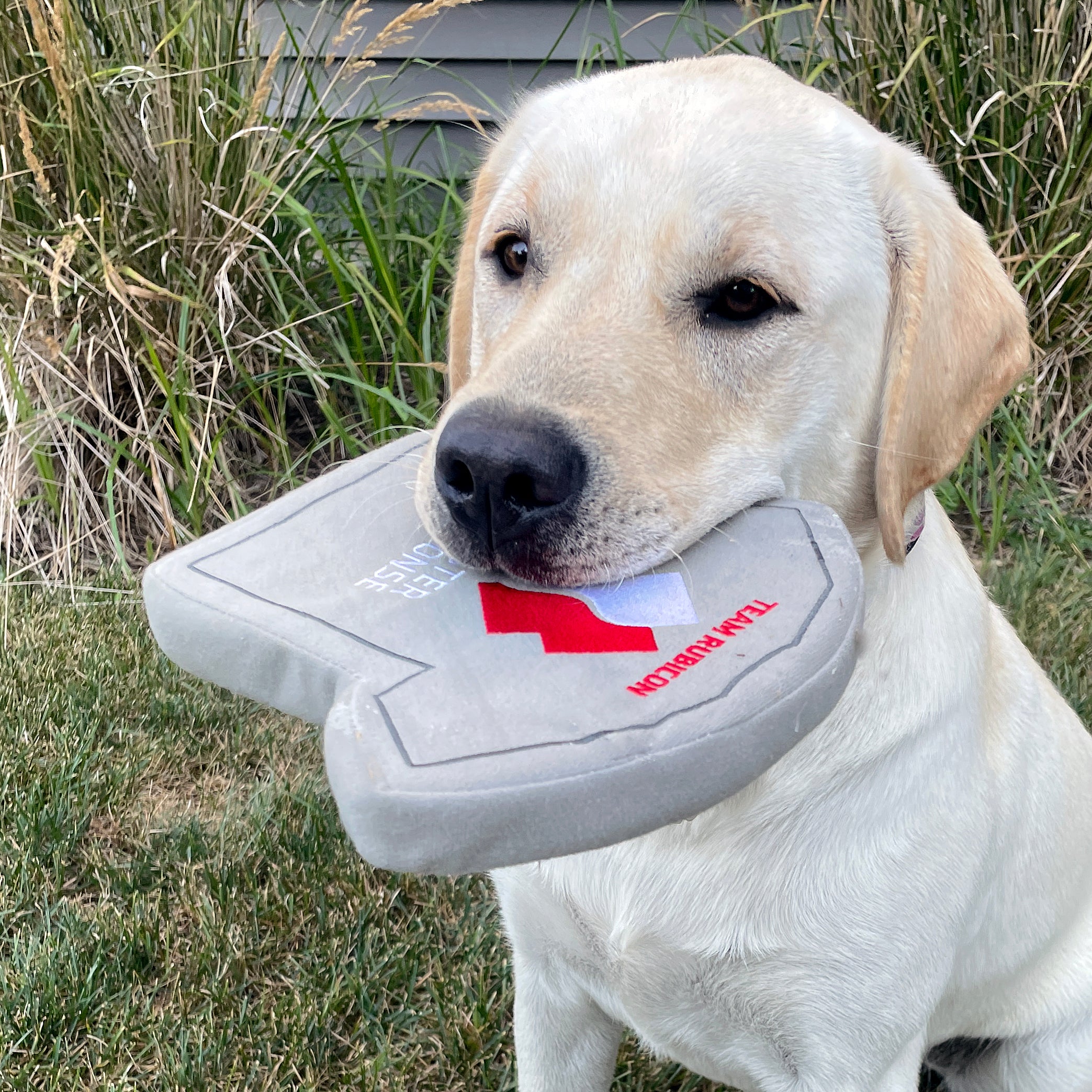 Greyshirt Dog Toy