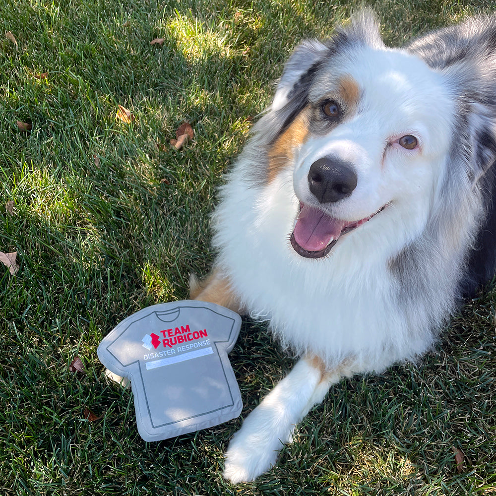 Greyshirt Dog Toy